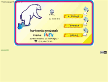 Tablet Screenshot of inex.brzesko.com.pl